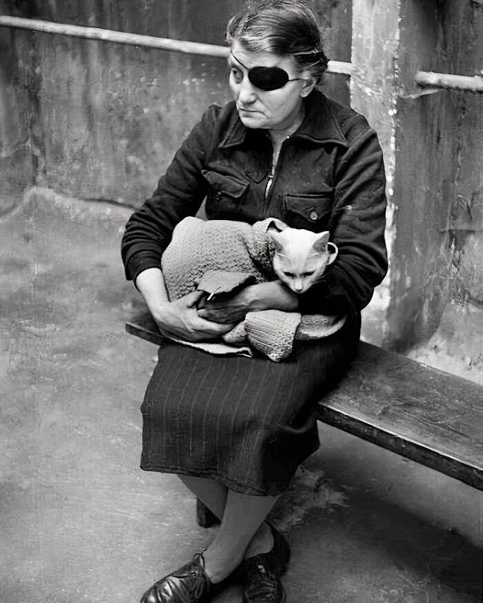 Journalist Rescues 20th-Century Photos Depicting Felines In Various Scenes (61 New Pics)