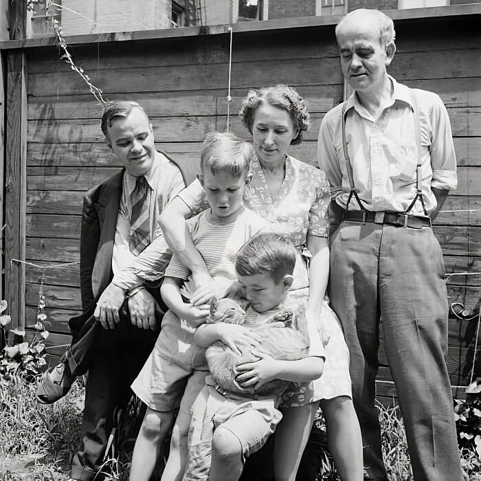 Journalist Rescues 20th-Century Photos Depicting Felines In Various Scenes (61 New Pics)