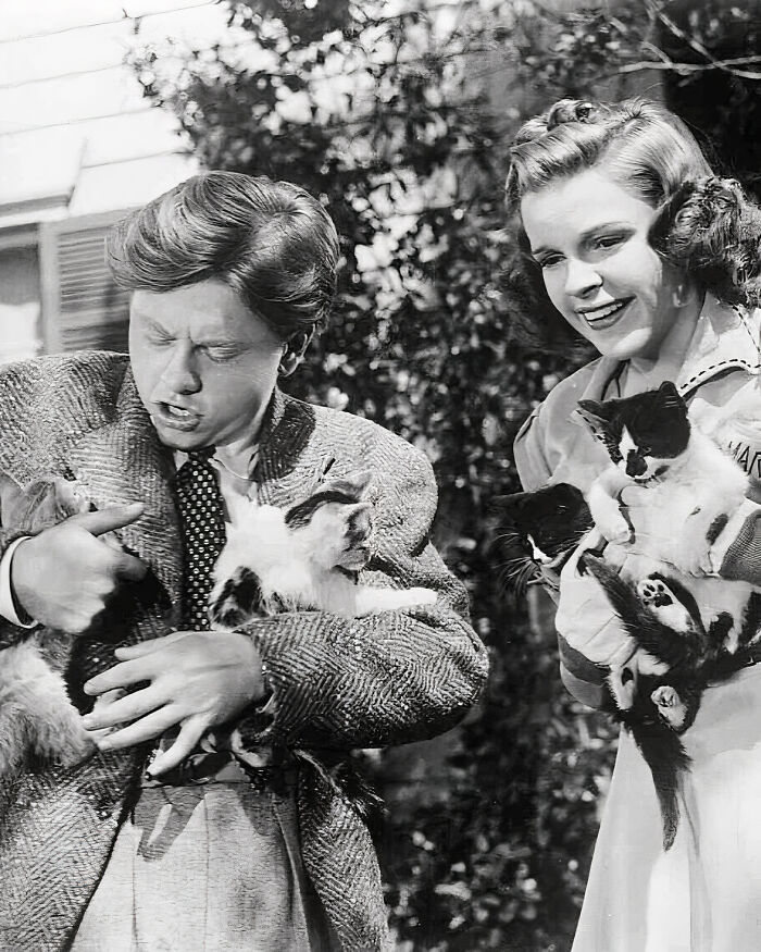 Journalist Rescues 20th-Century Photos Depicting Felines In Various Scenes (61 New Pics)