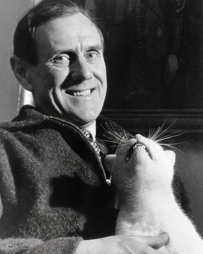 Journalist Rescues 20th-Century Photos Depicting Felines In Various Scenes (61 New Pics)