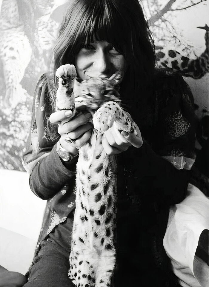 Journalist Rescues 20th-Century Photos Depicting Felines In Various Scenes (61 New Pics)