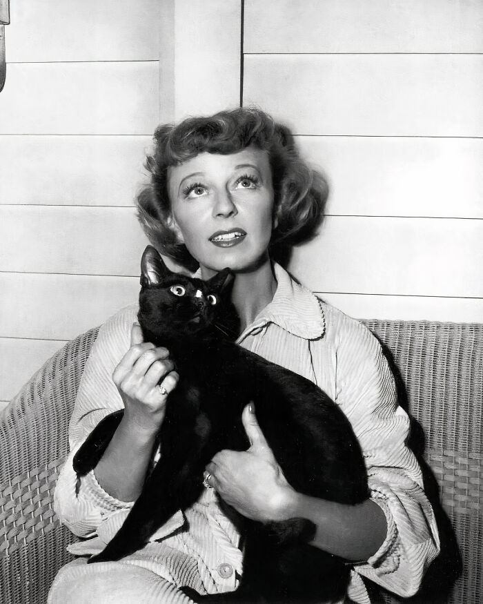 Journalist Rescues 20th-Century Photos Depicting Felines In Various Scenes (61 New Pics)