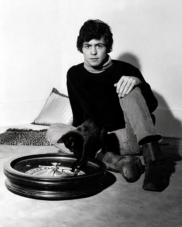 Journalist Rescues 20th-Century Photos Depicting Felines In Various Scenes (61 New Pics)