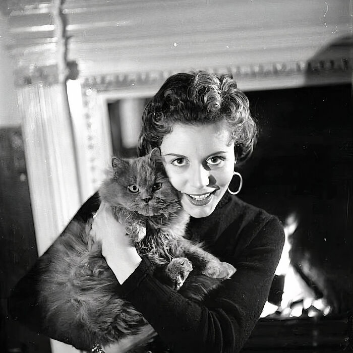 Journalist Rescues 20th-Century Photos Depicting Felines In Various Scenes (61 New Pics)