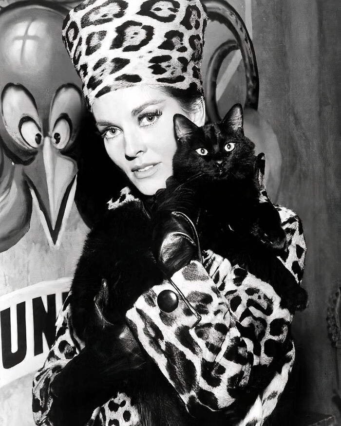 Journalist Rescues 20th-Century Photos Depicting Felines In Various Scenes (61 New Pics)