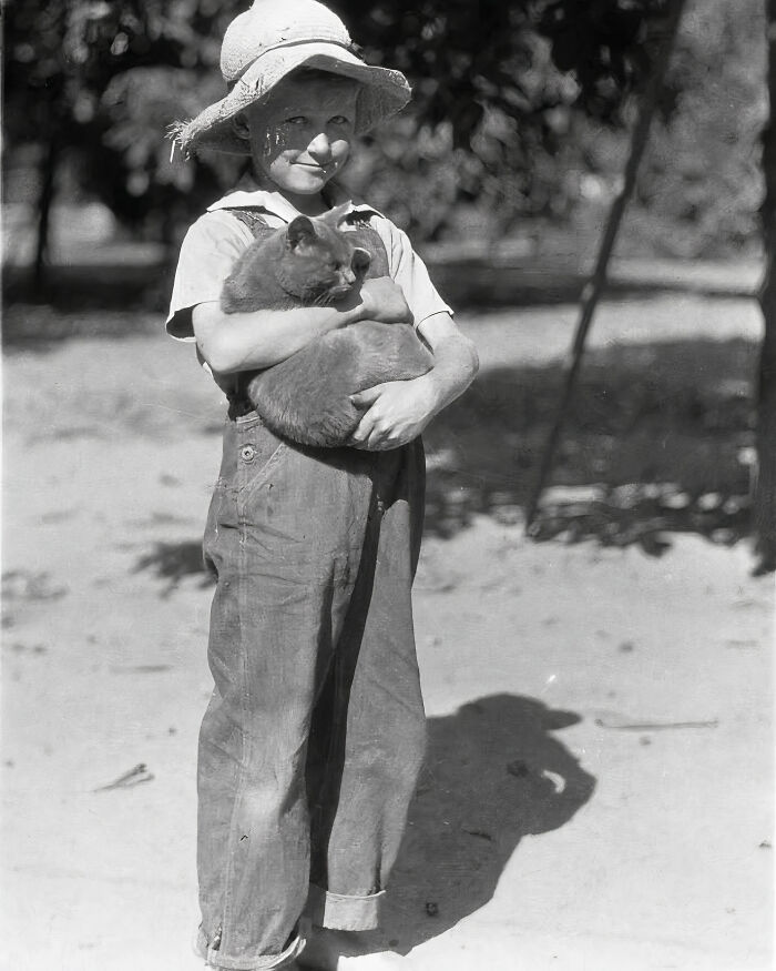 Journalist Rescues 20th-Century Photos Depicting Felines In Various Scenes (61 New Pics)