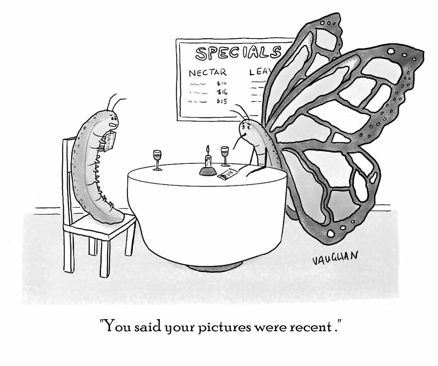 Meet Cartoonist Vaughan Tomlinson's Hilarious Single-Panel Comics