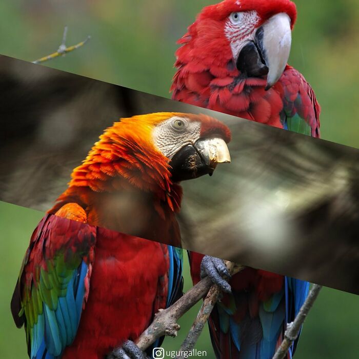 New Works By A Turkish Photographer That Show The Contrasts Of Our Unadorned World