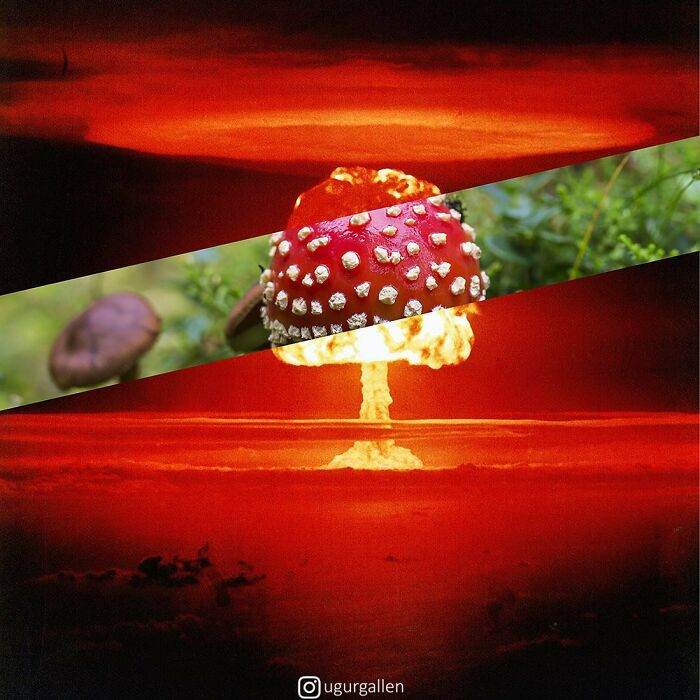 New Works By A Turkish Photographer That Show The Contrasts Of Our Unadorned World