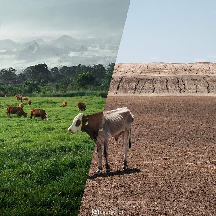 New Works By A Turkish Photographer That Show The Contrasts Of Our Unadorned World