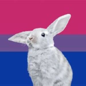 pointsettahollingsworth avatar