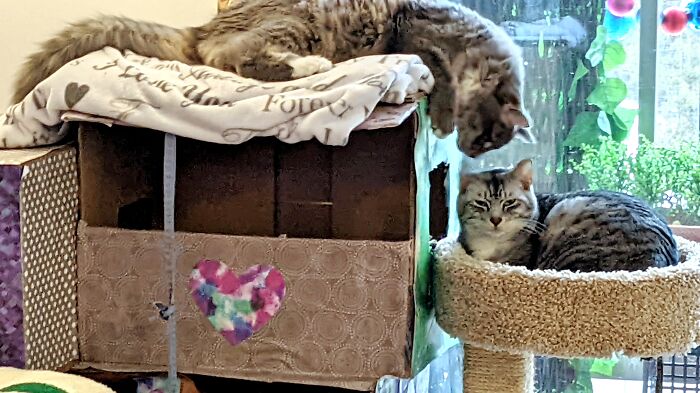 I'm Not Touching You . .