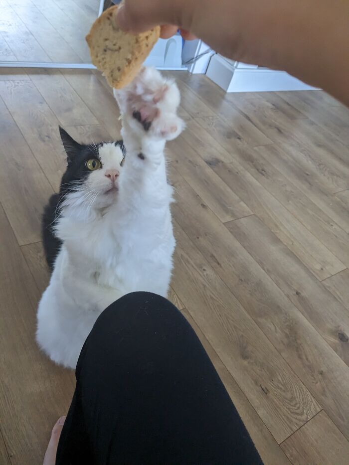 My Bbg, Found For Years Ago