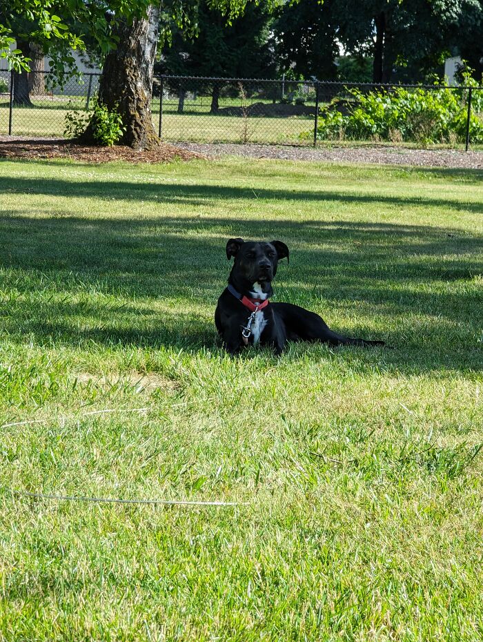 Watching This Lovely Lady Enjoy The Weather 