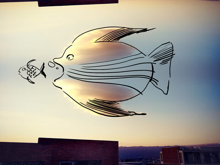 By Oliko Nadiradze (Big Fish, Little Fish)