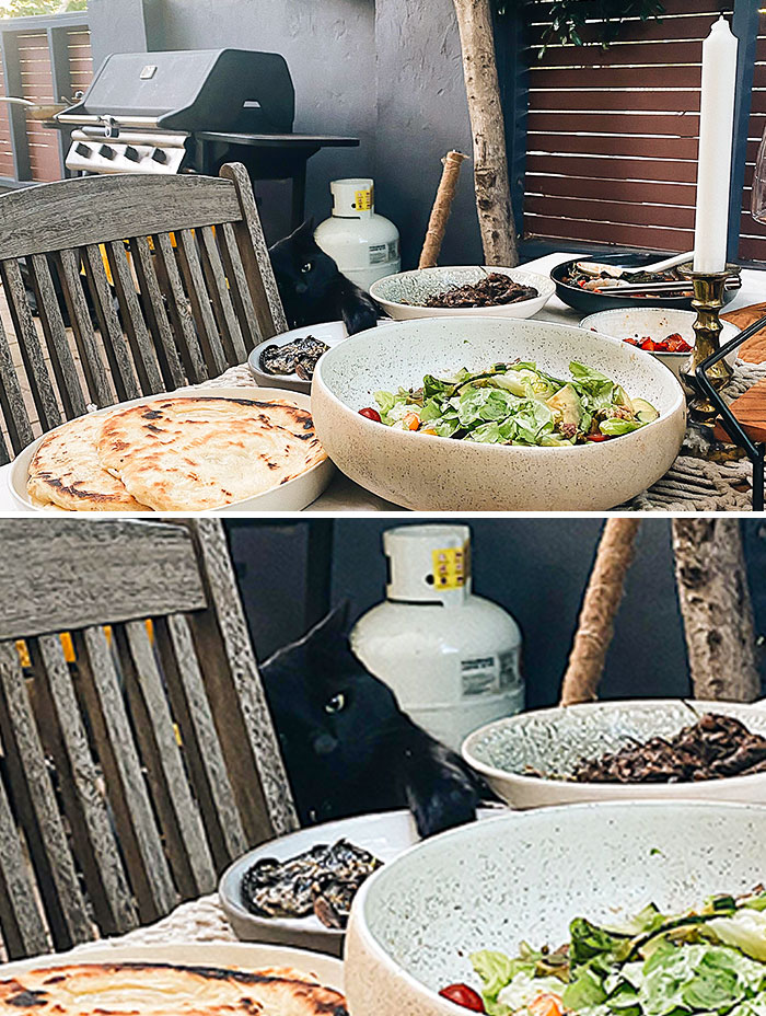 Spot The Thief During Our Pre-Holiday Dinner Last Night