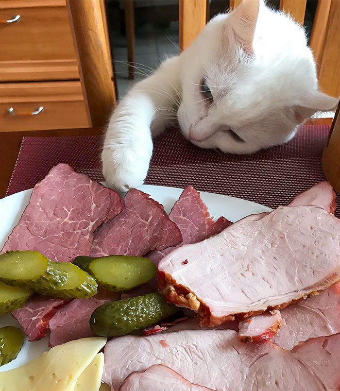 Excuse Me, Don't Mind If I Do