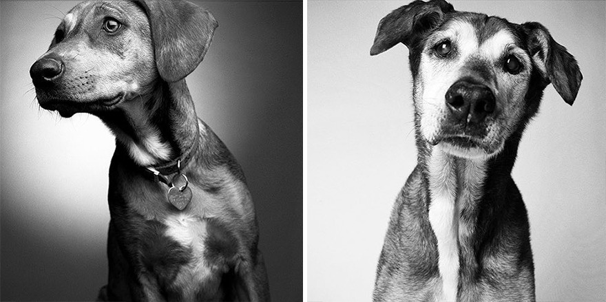 Georgia - 1996 And 2012