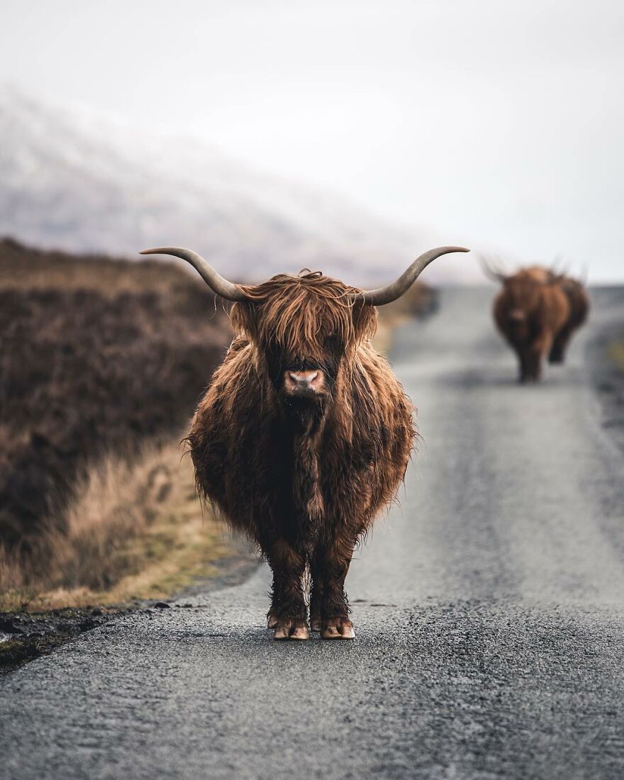 Photographer Travels The World Capturing Incredible Moments