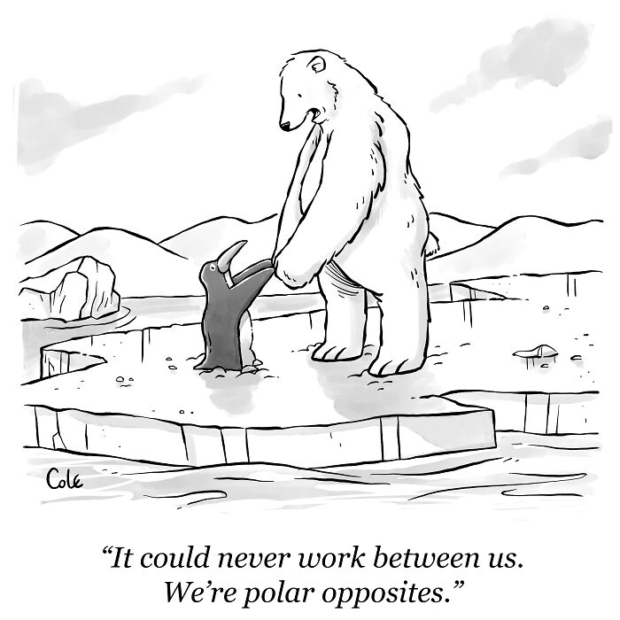 I've Been Making Single Panel Cartoons For Over A Decade. Here Are 40 Of The Best!