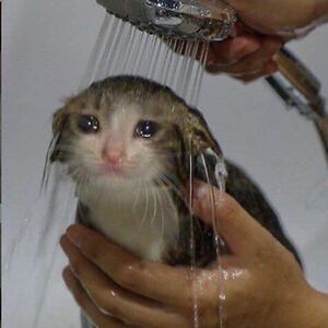 fabriciogsantos-92 avatar