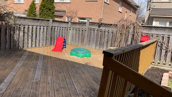 Baby Racoons Got Rescued And Came Back To Mama&rsquo;s Arm (9 Pics)