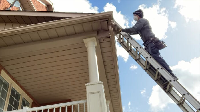 Baby Racoons Got Rescued And Came Back To Mama&rsquo;s Arm (9 Pics)
