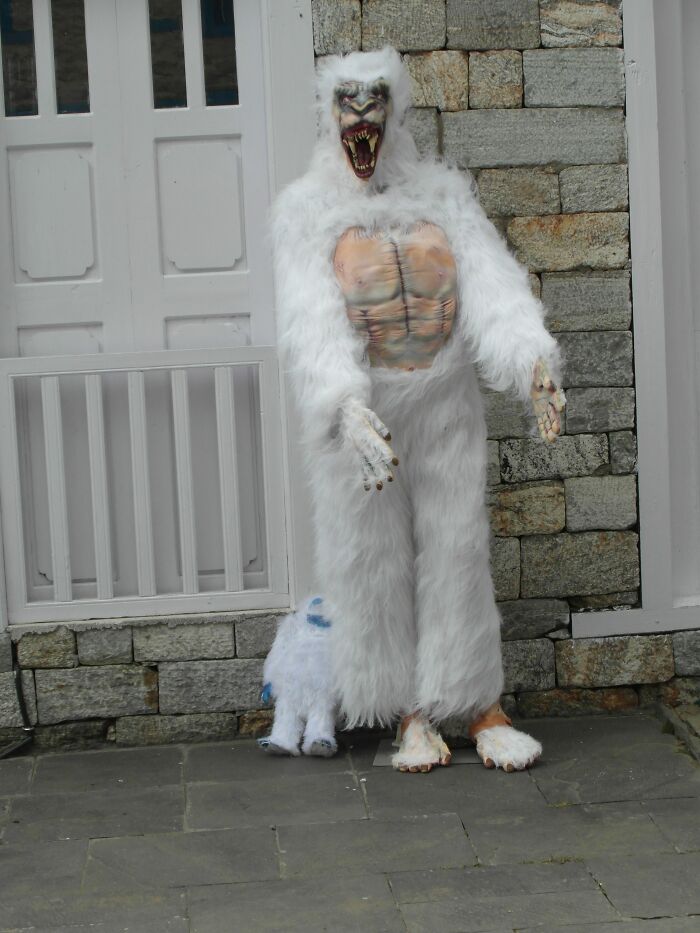 Spending 12 Days Trekking To Everest Base Camp With The Joyful Presence Of A Four-Legged Friend (8 Pics)