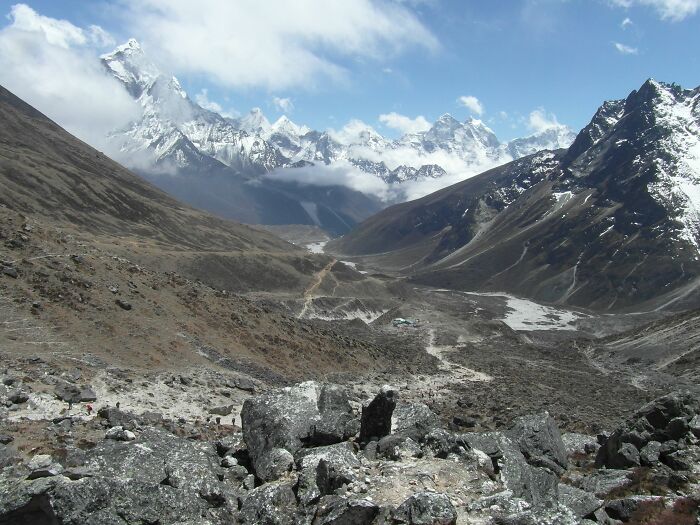 Spending 12 Days Trekking To Everest Base Camp With The Joyful Presence Of A Four-Legged Friend (8 Pics)