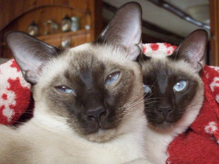 Main Screen Is Sammy On The Left. When Swiping To Right Screens, You See His Sister Lucy