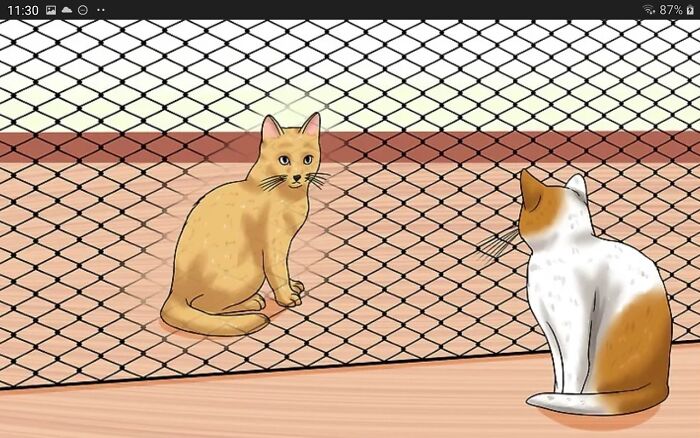 What Are They Plotting?