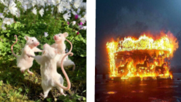 My Home Screen On The Left And My Lock Screen On The Right