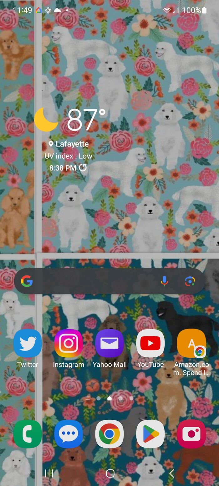 Poodles! (Put This As My Background At Least 1 Phone Ago When I Got My Poodle)