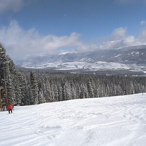 adamslayla488 avatar