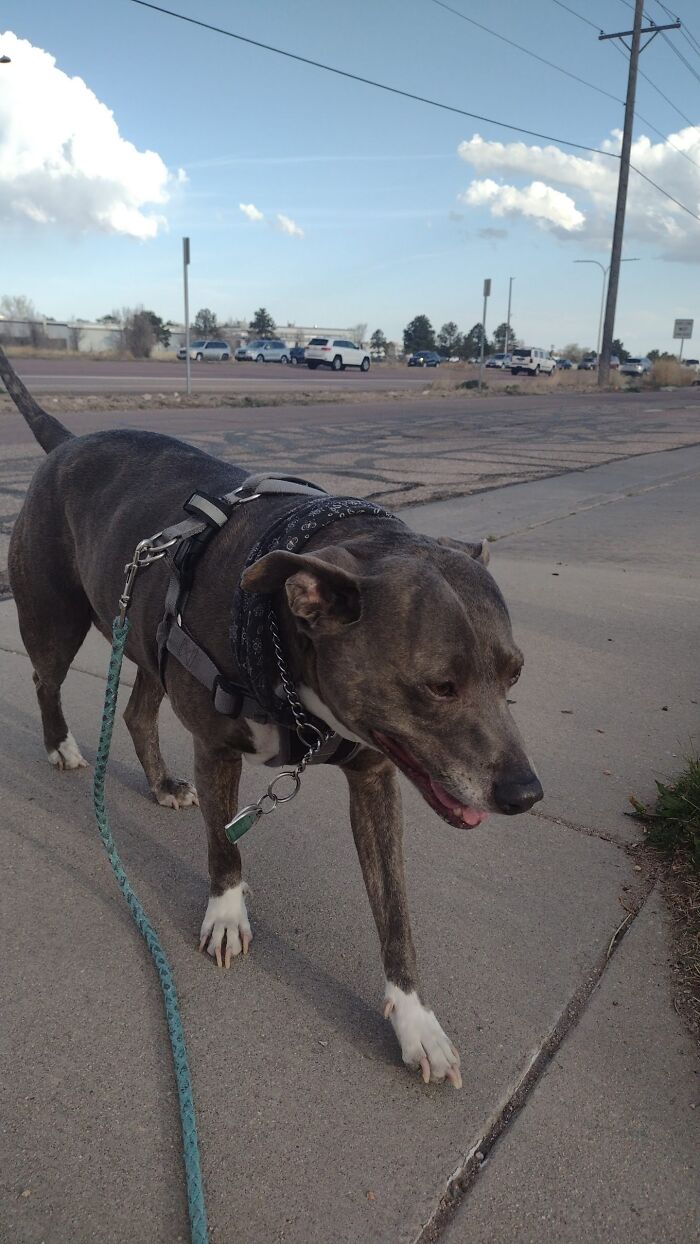 Afternoon Rush Hour, Headed Home After An 8 Mile Hike