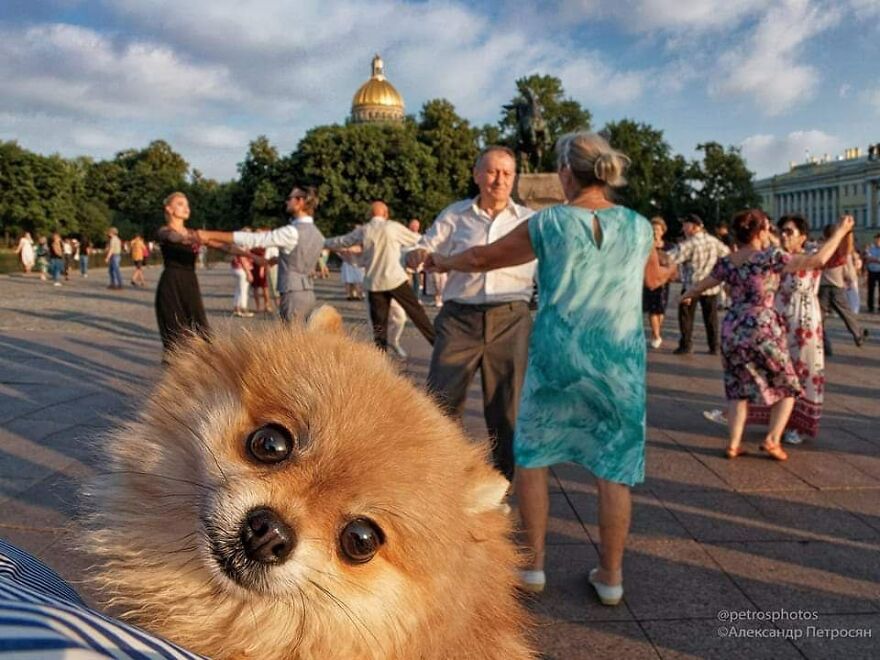 Street Photography By Alexander Petrosyan (New Pics)