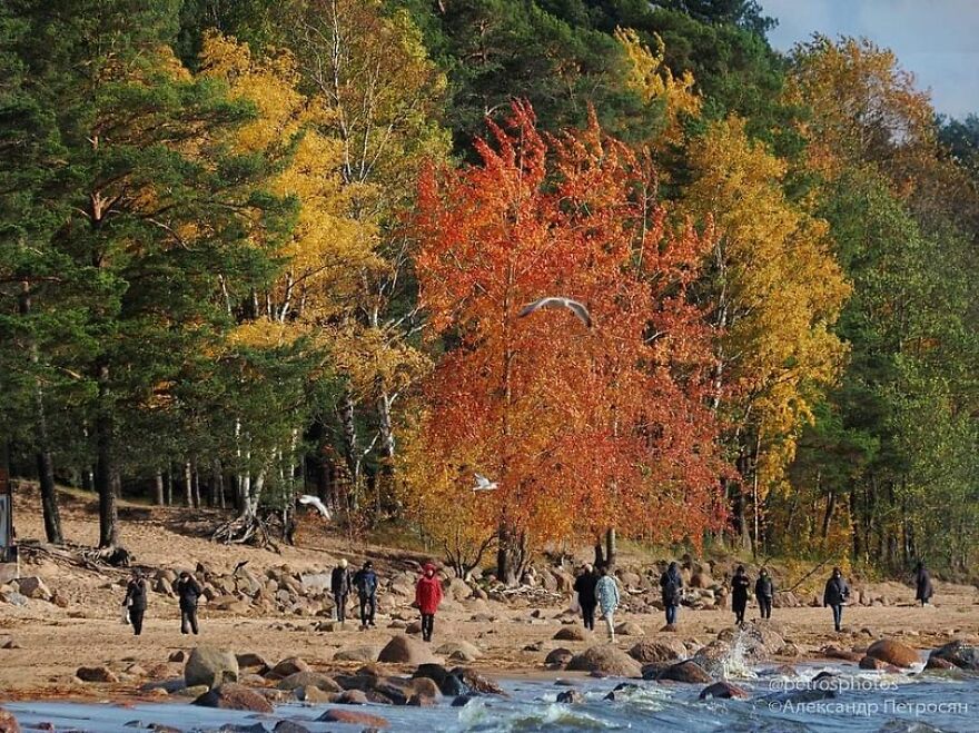 Street Photography By Alexander Petrosyan (New Pics)