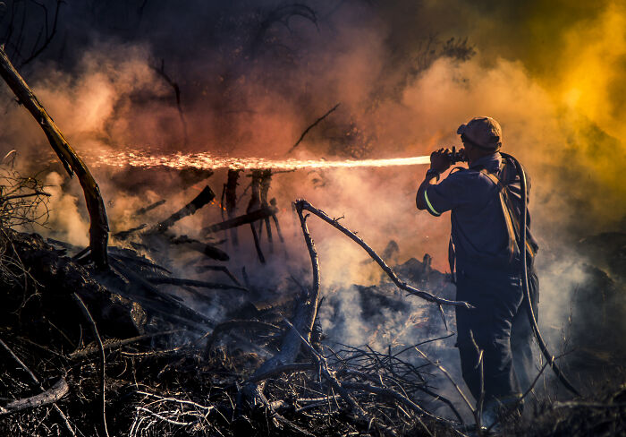 Firefighter extinguishing wildfire amid smoke and flames in dramatic scene from best pictures community collection.