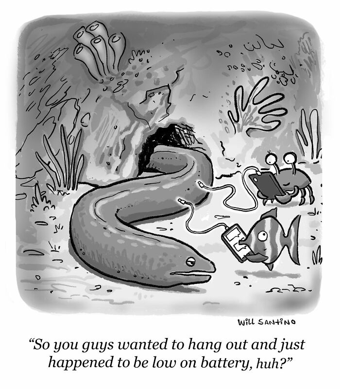 The Comics About Silly Things And Strange Situations By Will Santino Are Back