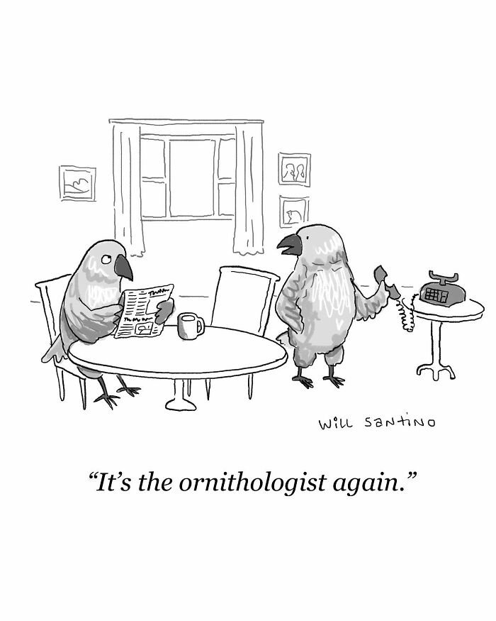 The Comics About Silly Things And Strange Situations By Will Santino Are Back