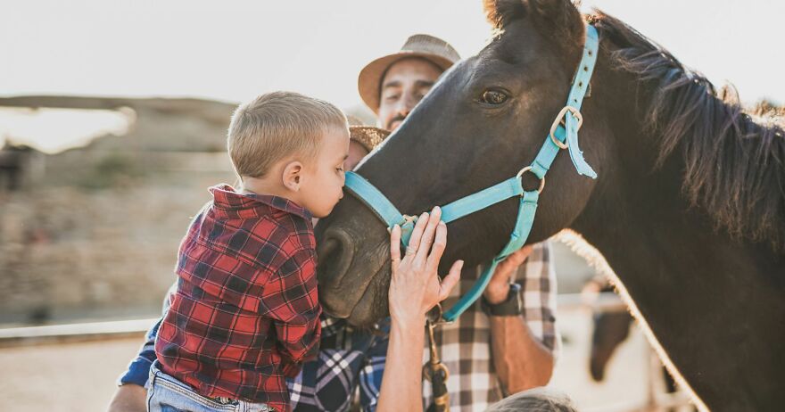 These 8 Stories Of Human-Animal Bonds Will Warm Your Heart These 8 Stories Of Human-Animal Bonds Will Warm Your Heart