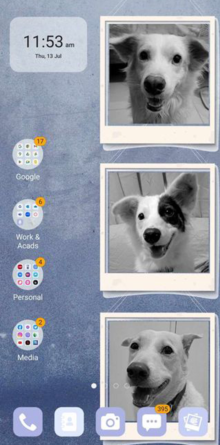 My 3 Freeloaders Aka My Sons. Fluffy, George, & Utoy