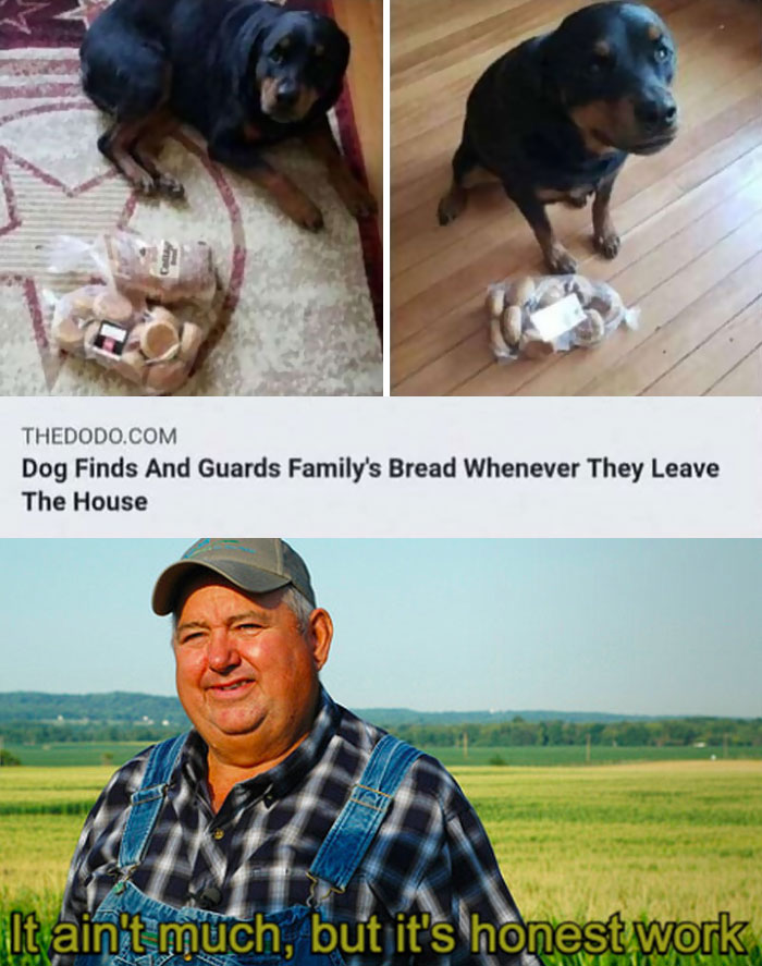 Adorable-Wholesome-Memes-Pics