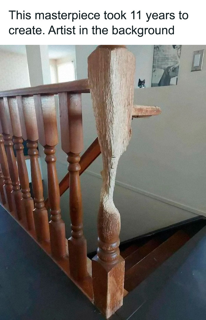 Adorable-Wholesome-Memes-Pics