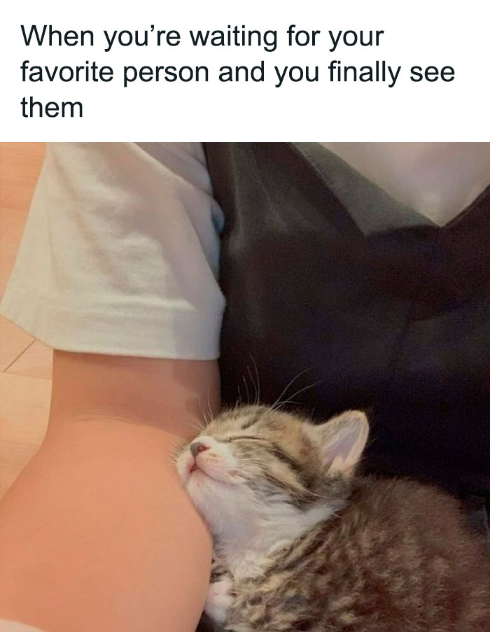 Adorable-Wholesome-Memes-Pics
