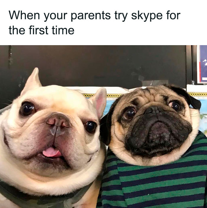 Adorable-Wholesome-Memes-Pics