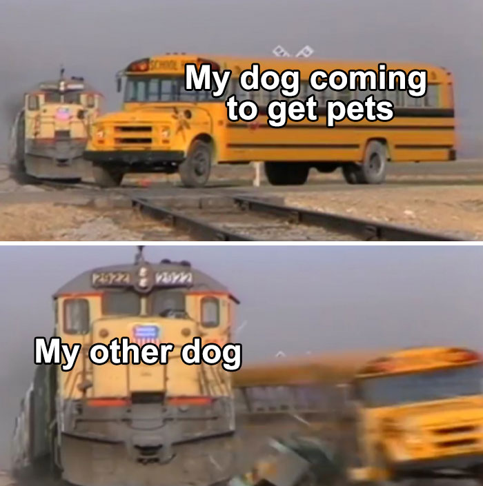 Adorable-Wholesome-Memes-Pics