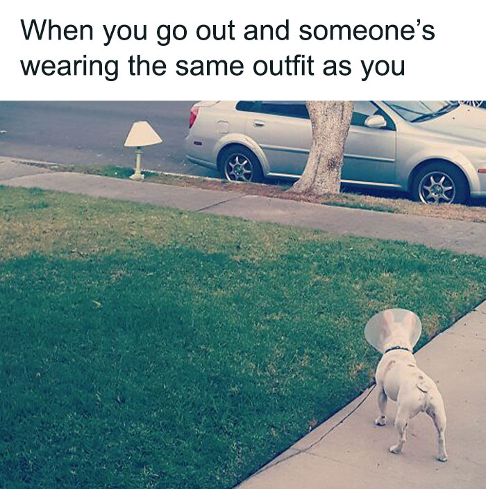 Adorable-Wholesome-Memes-Pics