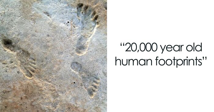 30 Important Historical Photos That Might Change Your Perspective On Things (New Pics)