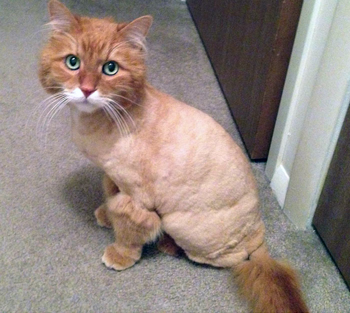 I've Made A Huge Mistake